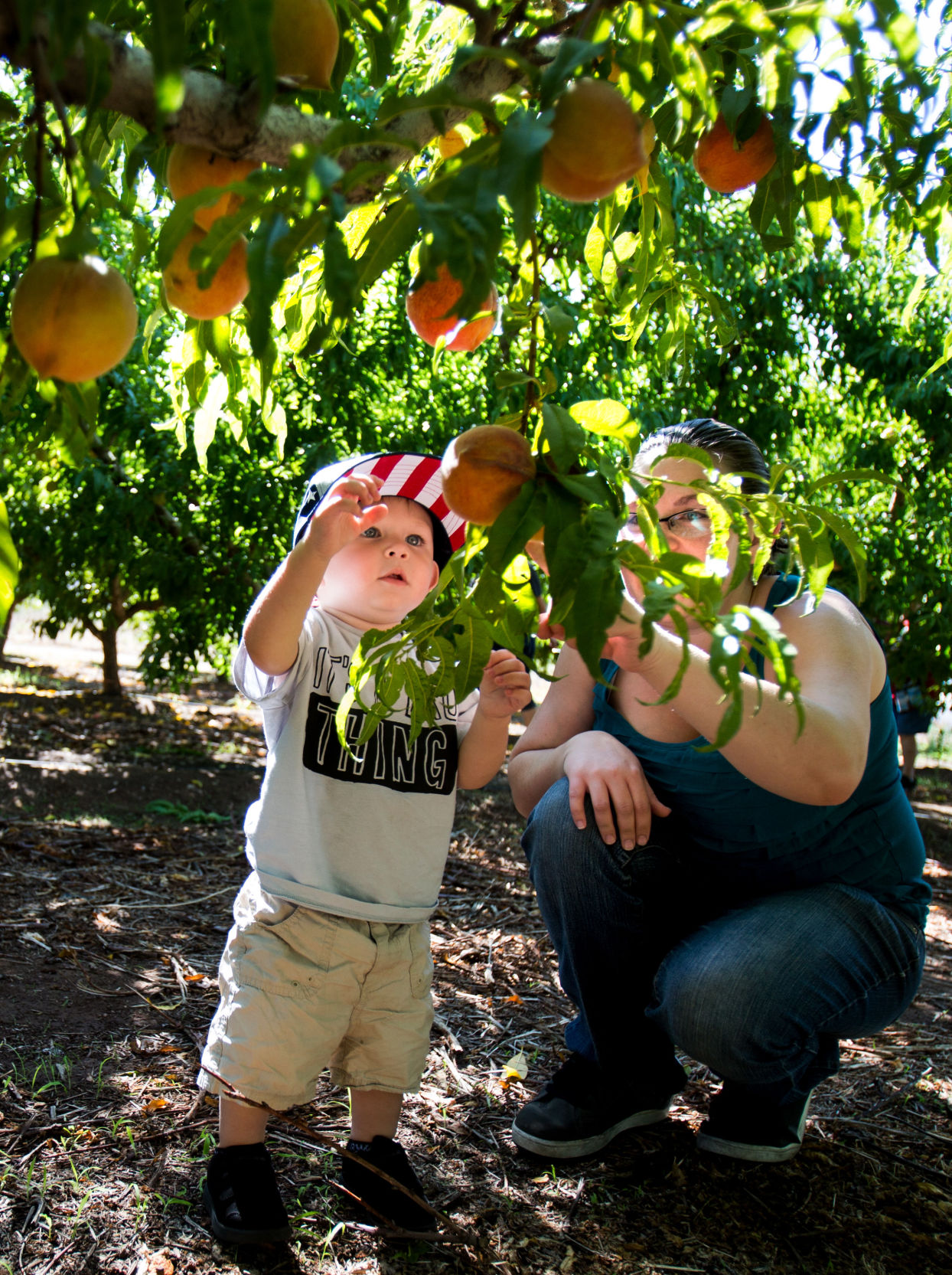 Peach Mania at Apple Annie's